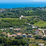 Marina Dhorizata